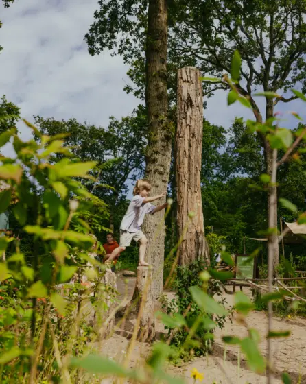 Spelen in de natuur
