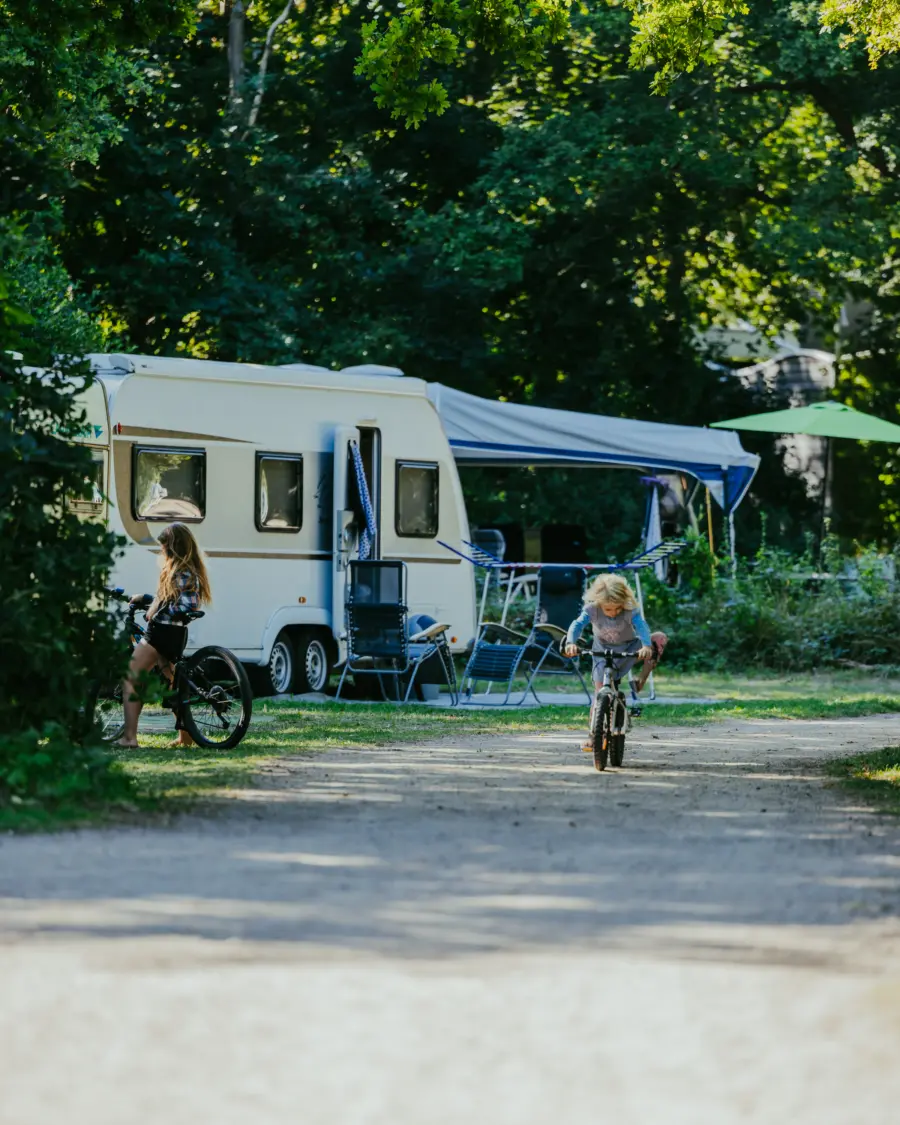 Kindopdestep campinggeversduin