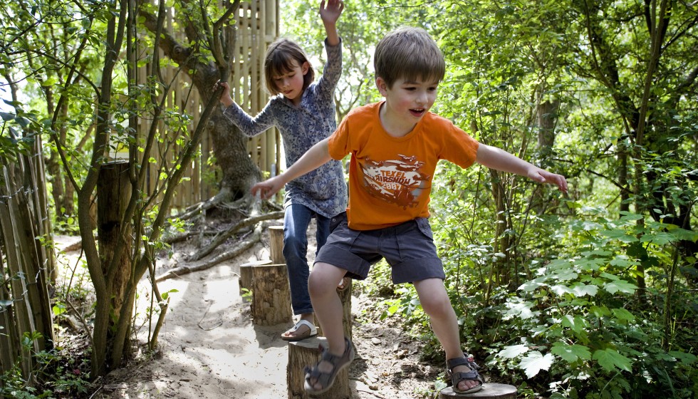camping geversduin recreatie activiteit boomstam bos natuur kennemerland kinderen