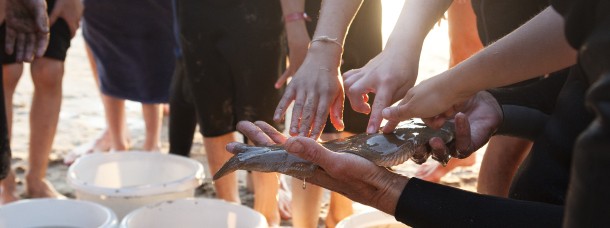 Korren vis strand zee activiteit recreatie camping geversudin