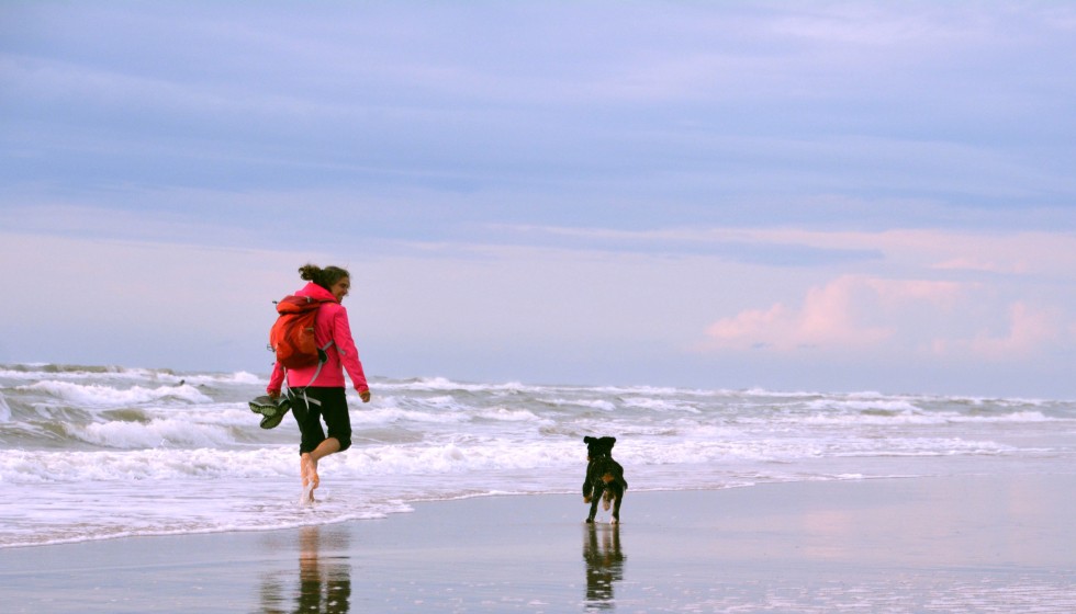 woman running with the dog at the sea Header.jpg